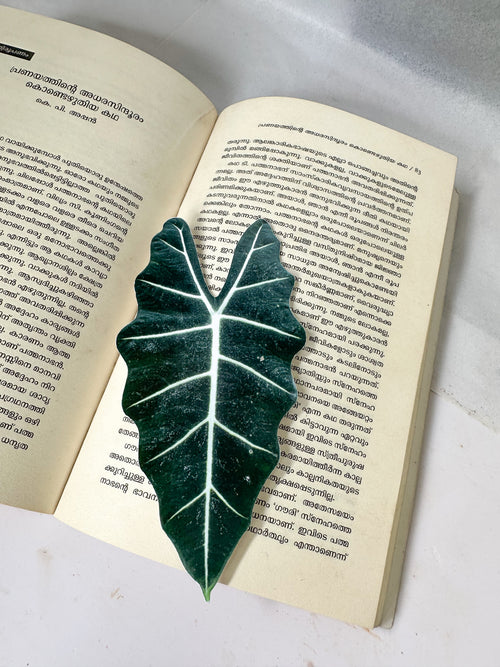 Leaf Bookmarks (Pack of 4)