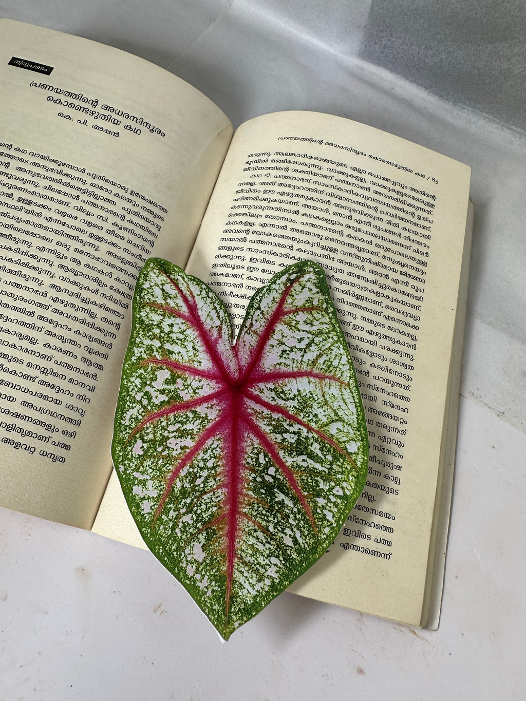 Leaf Bookmarks (Pack of 4)