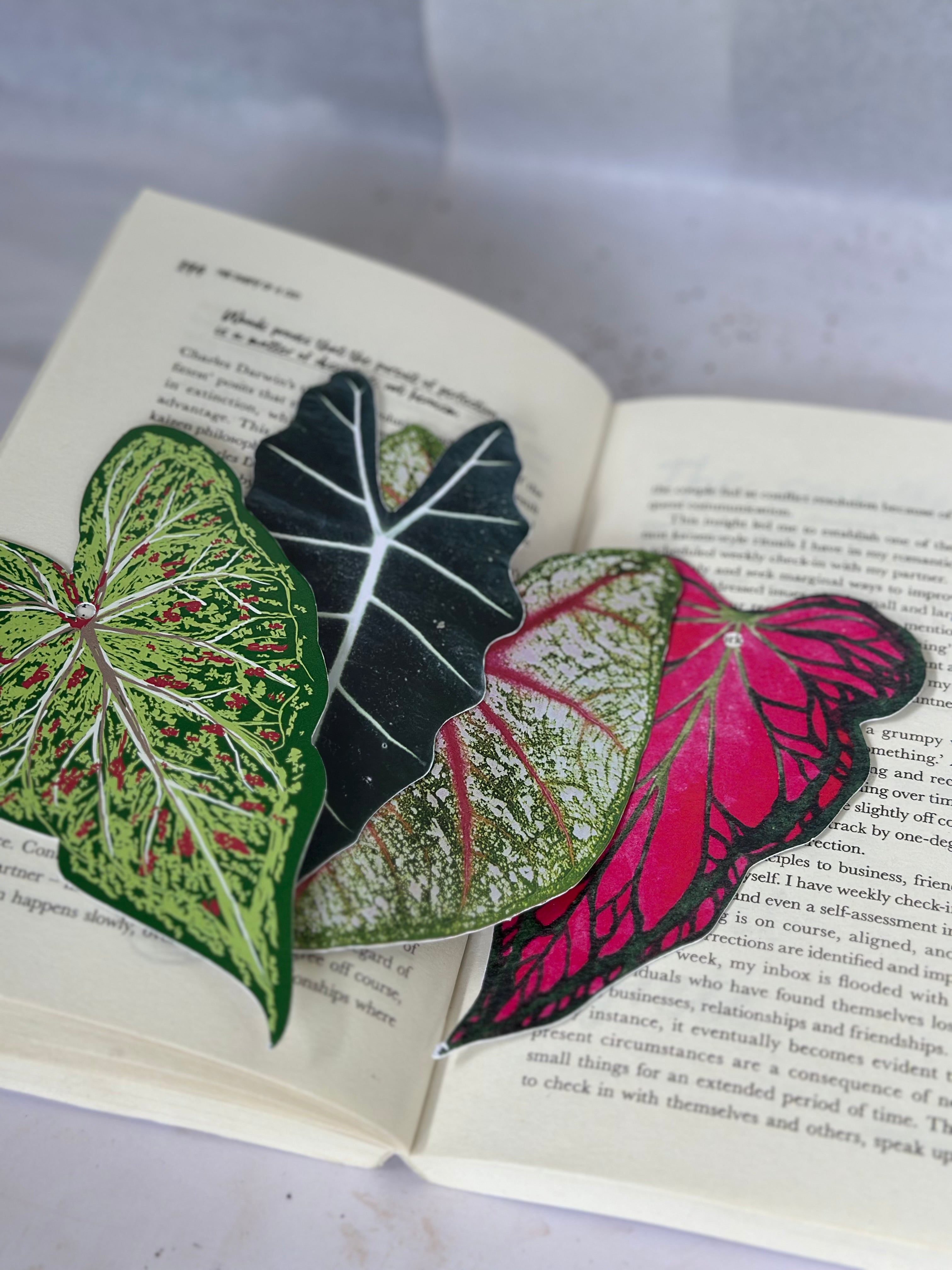 Leaf Bookmarks (Pack of 4)